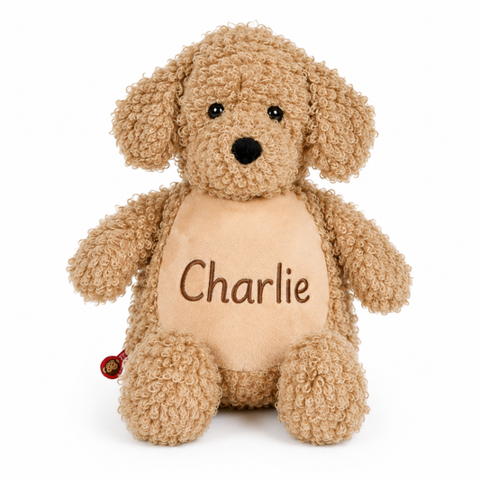 Labradoodle Charlie